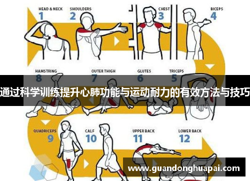 通过科学训练提升心肺功能与运动耐力的有效方法与技巧
