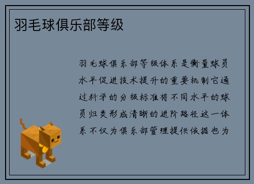 羽毛球俱乐部等级